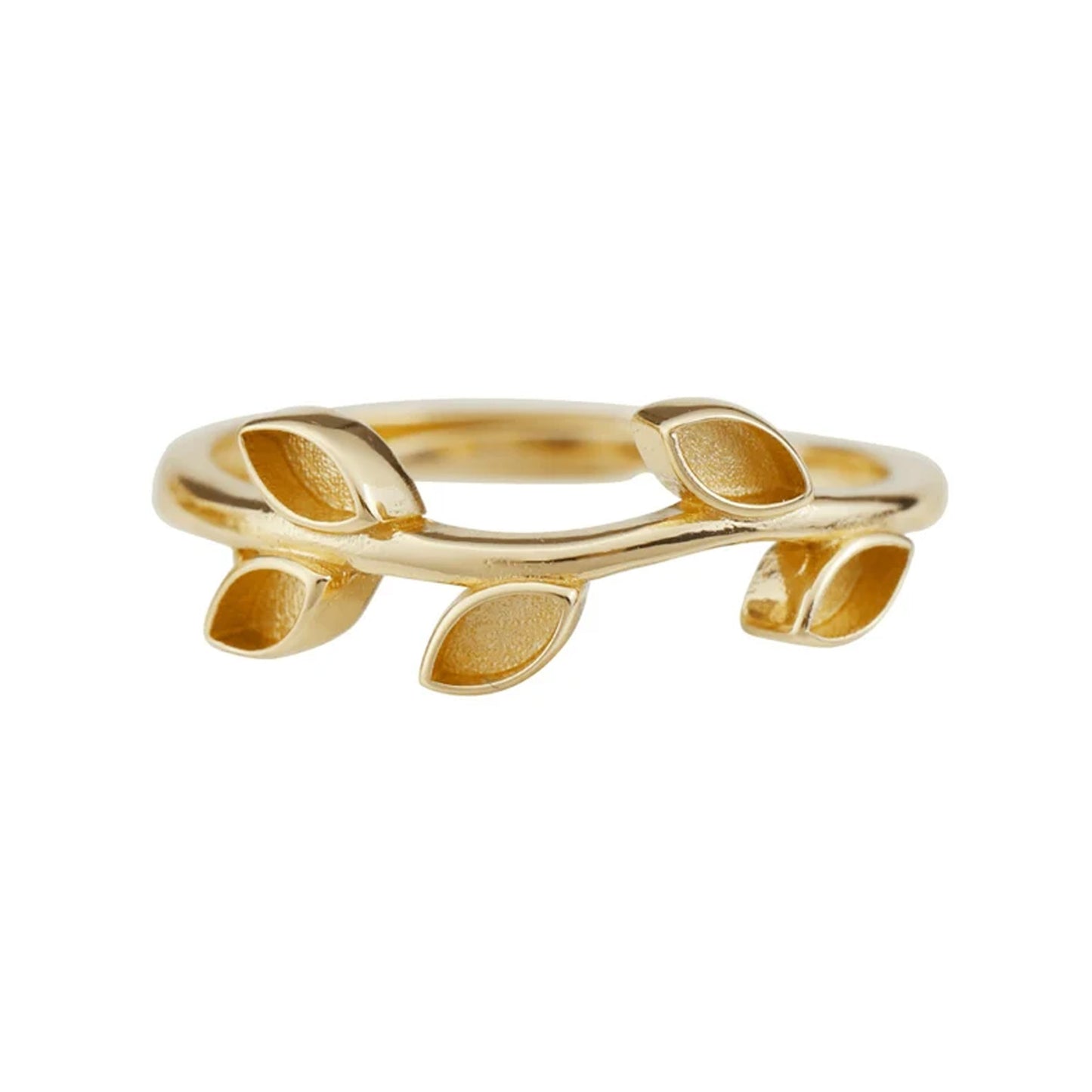 Ivory - Ring