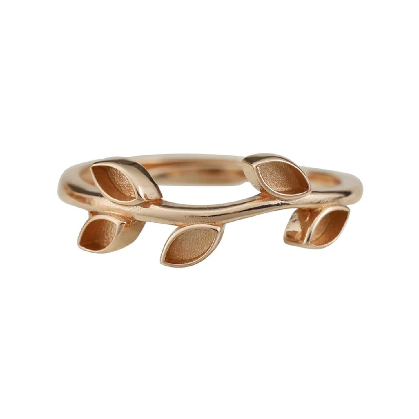 Ivory - Ring